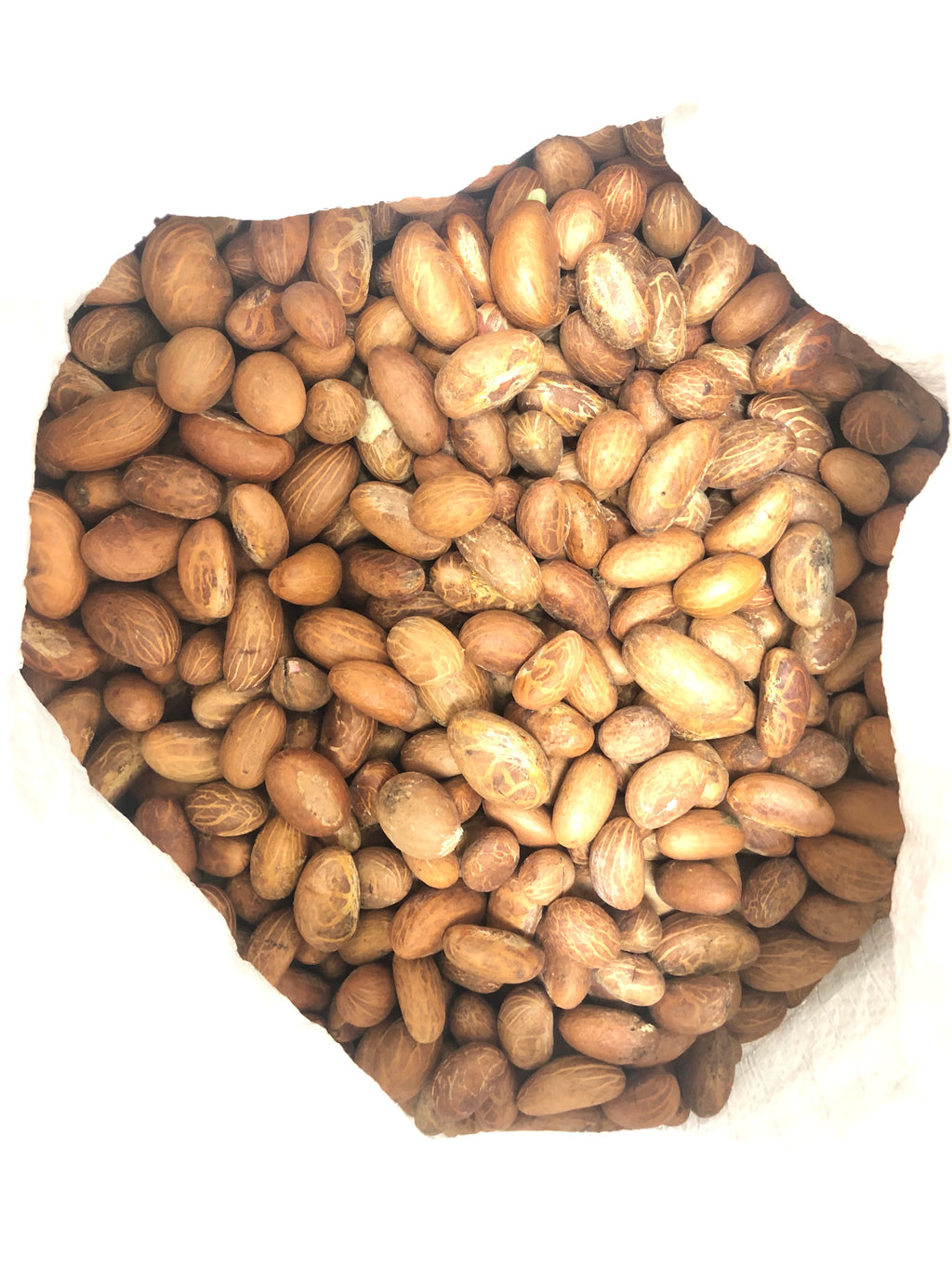Organic African Kola Nut (Bitter Kola) 20:1 Extract Powder - 10g High Potency, Made In USA By Awaken Relaxation